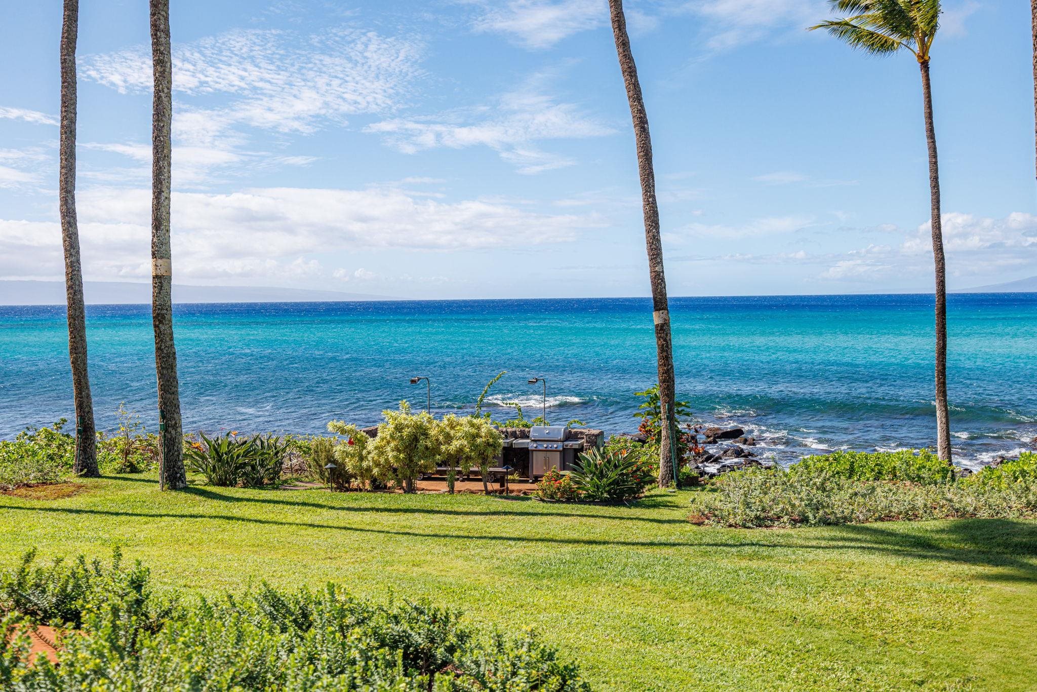 4057 Lower Honoapiilani Road, Unit 116 Lahaina, HI 96761 - Photo 31 of 38 a view of a garden and an ocean view