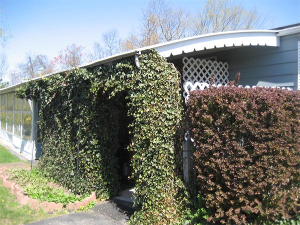 239 Ayer Road, Unit 57 Littleton, MA 01460 - Photo 3 of 6 Gallery Image 3
