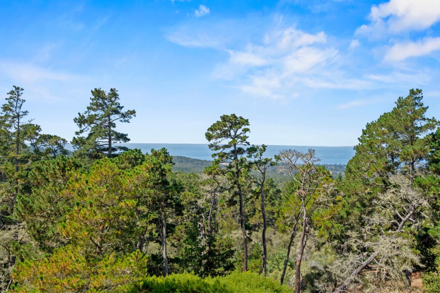 250 Forest Ridge Road, Unit 42 Monterey, CA 93940 - Photo 2 of 45 Gallery Image 2
