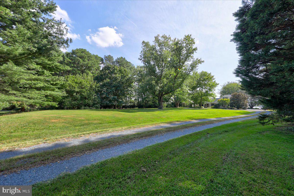 27157 Anchorage Road Easton, MD 21601 - Photo 5 of 27 Gallery Image 5