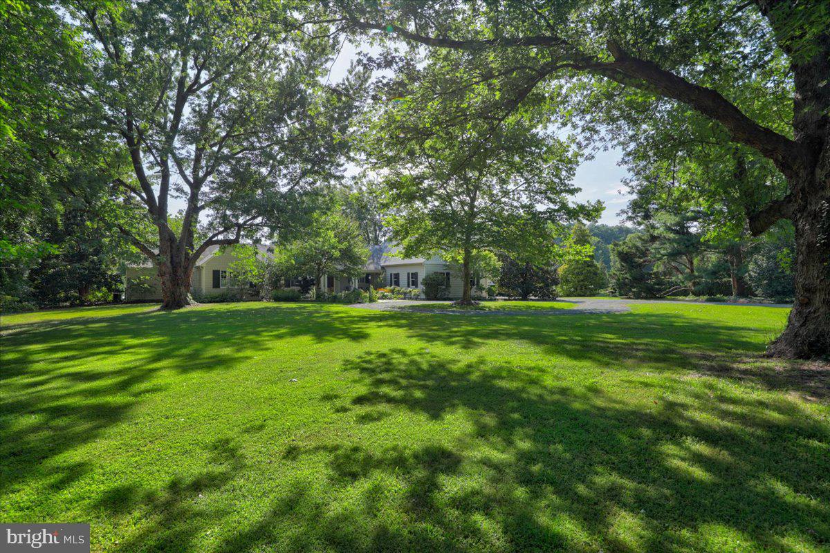 27157 Anchorage Road Easton, MD 21601 - Photo 6 of 27 Gallery Image 6