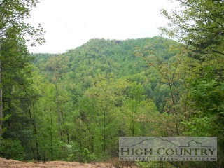 Lot 188 Deer Run Road Purlear, NC 28665 - Photo 1 of 1 a view of a field