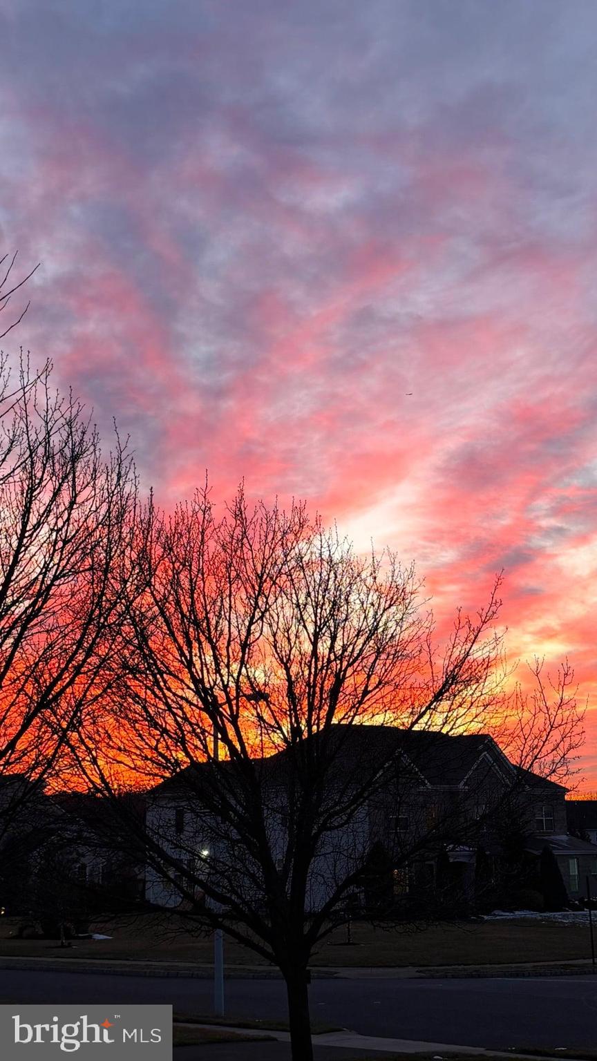 808 Derius Drive Mickleton, NJ 08056 - Photo 68 of 73