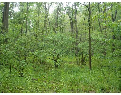 Mudlick Hollow Road Beaver, PA 15009 - Photo 2 of 2 Land/Lot.