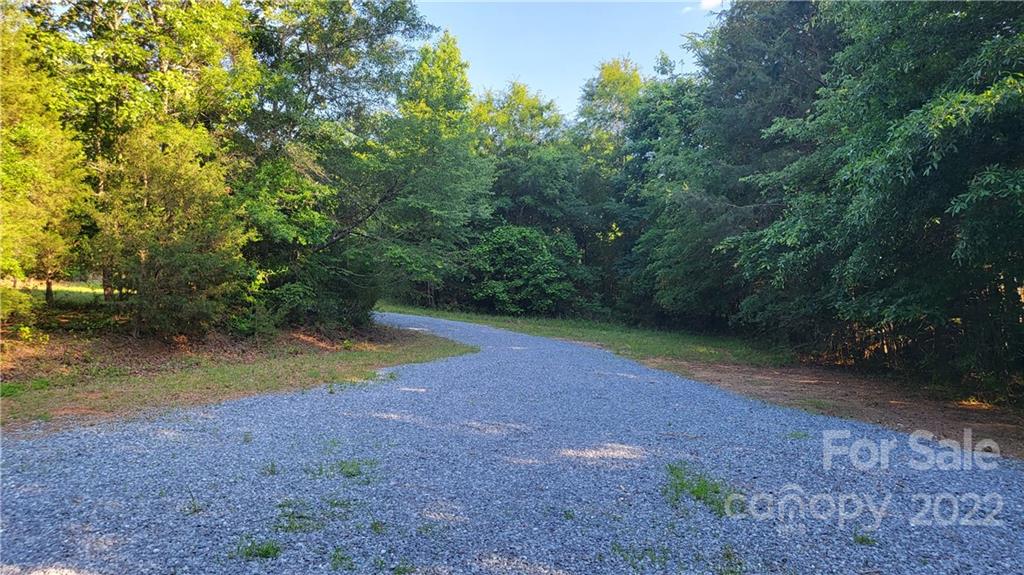 4324 Dye Road Edgemoor, SC 29712 - Photo 31 of 33 a view of a yard with plants and trees
