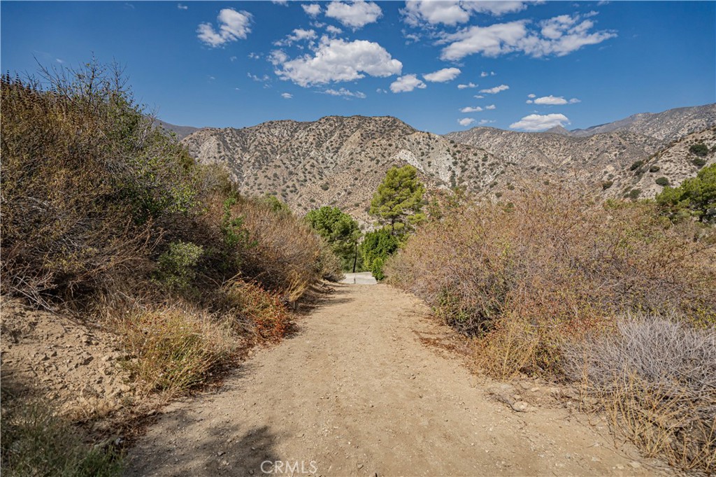 4134 Big Tujunga Canyon Road Tujunga, CA 91042 - Photo 39 of 44 a view of a dry yard with mountains in the background