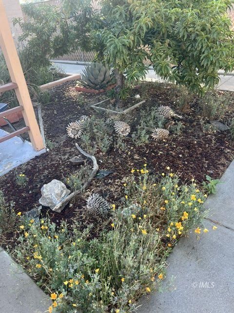 103 North Clay Street Independence, CA 93526 - Photo 20 of 25 a view of a forest that has a tree