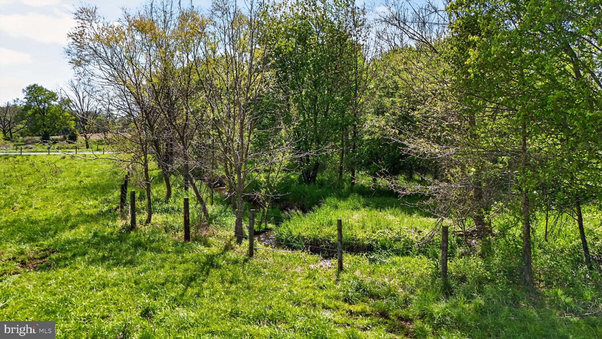 1599 Sanctuary Road Manheim, PA 17545 - Photo 20 of 66 Lush greenery by a tranquil stream.