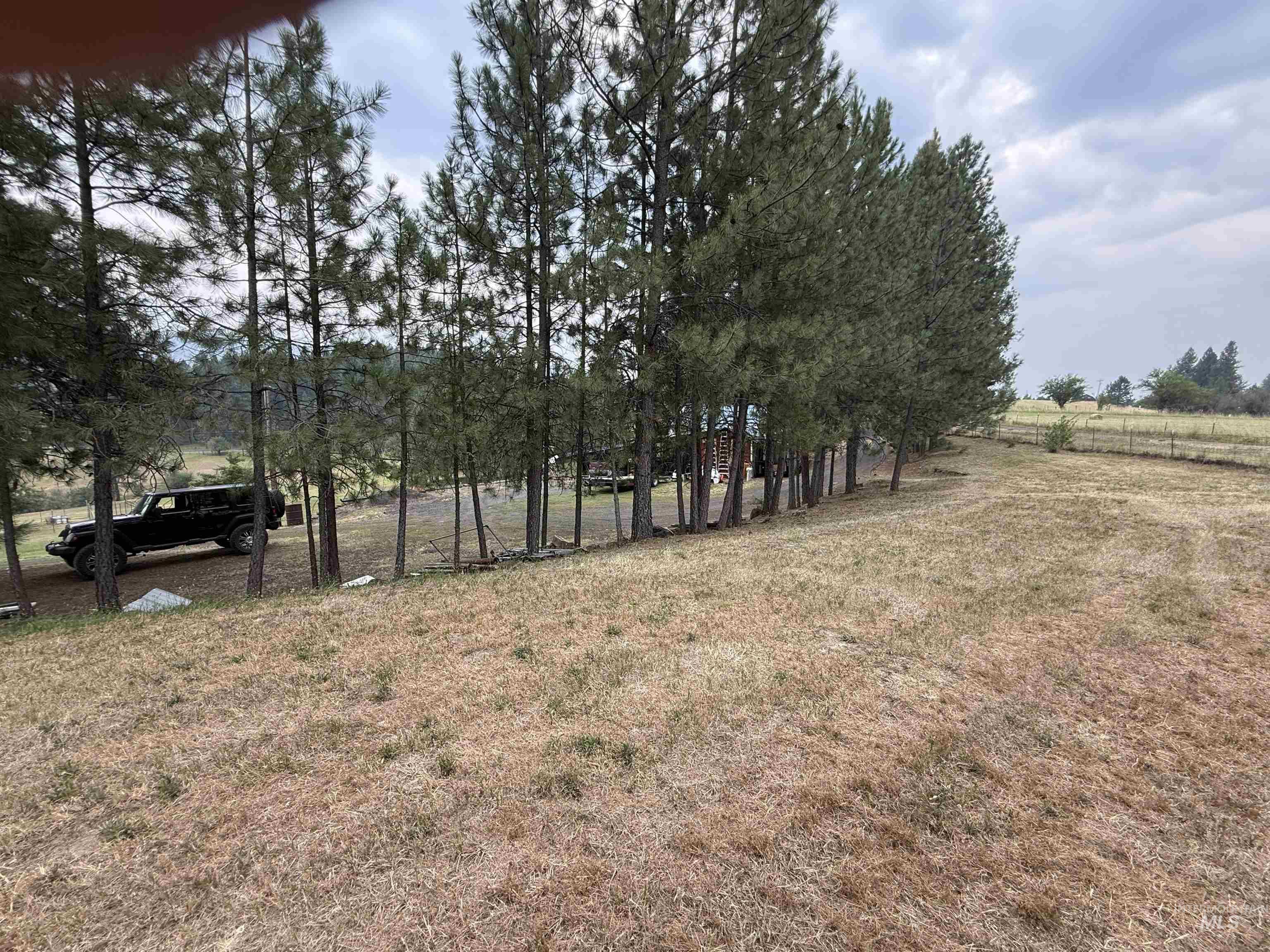 733 Pleasant Valley Road Stites, ID 83552 - Photo 33 of 46 Expansive undeveloped land featuring a line of mature evergreen trees and a distant wood fence line