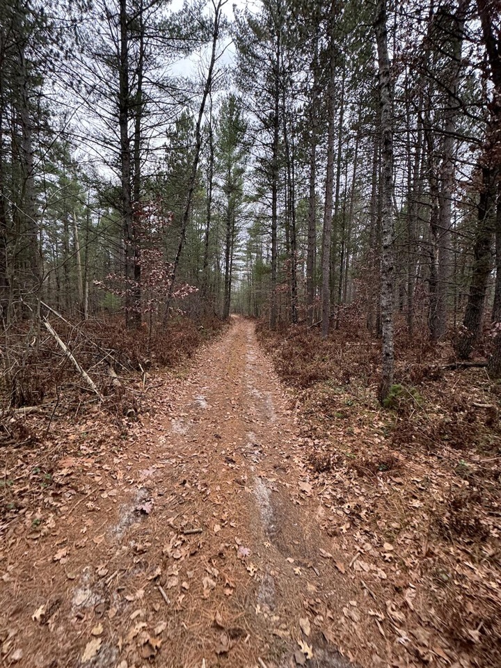 Vl Riverview Road Southeast Kalkaska, MI 49646 - Photo 26 of 40