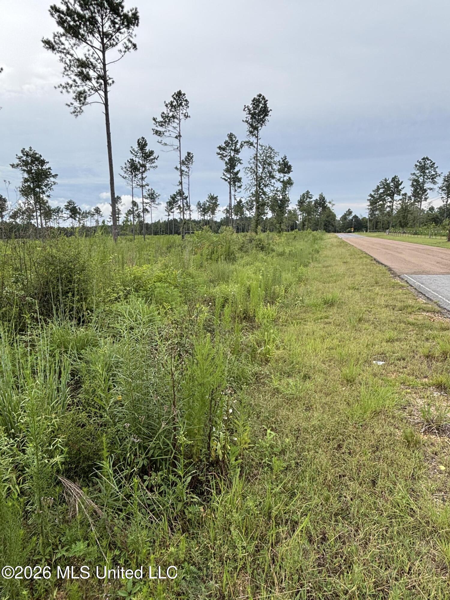 Kirklin Road Tylertown, MS 39667 - Photo 6 of 20 IMG_3107