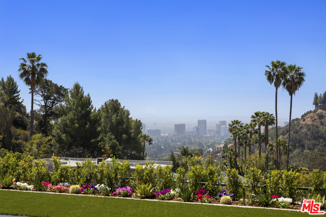 1754 Clear View Drive Beverly Hills, CA 90210 - Photo 27 of 37 a view of a flower in a garden