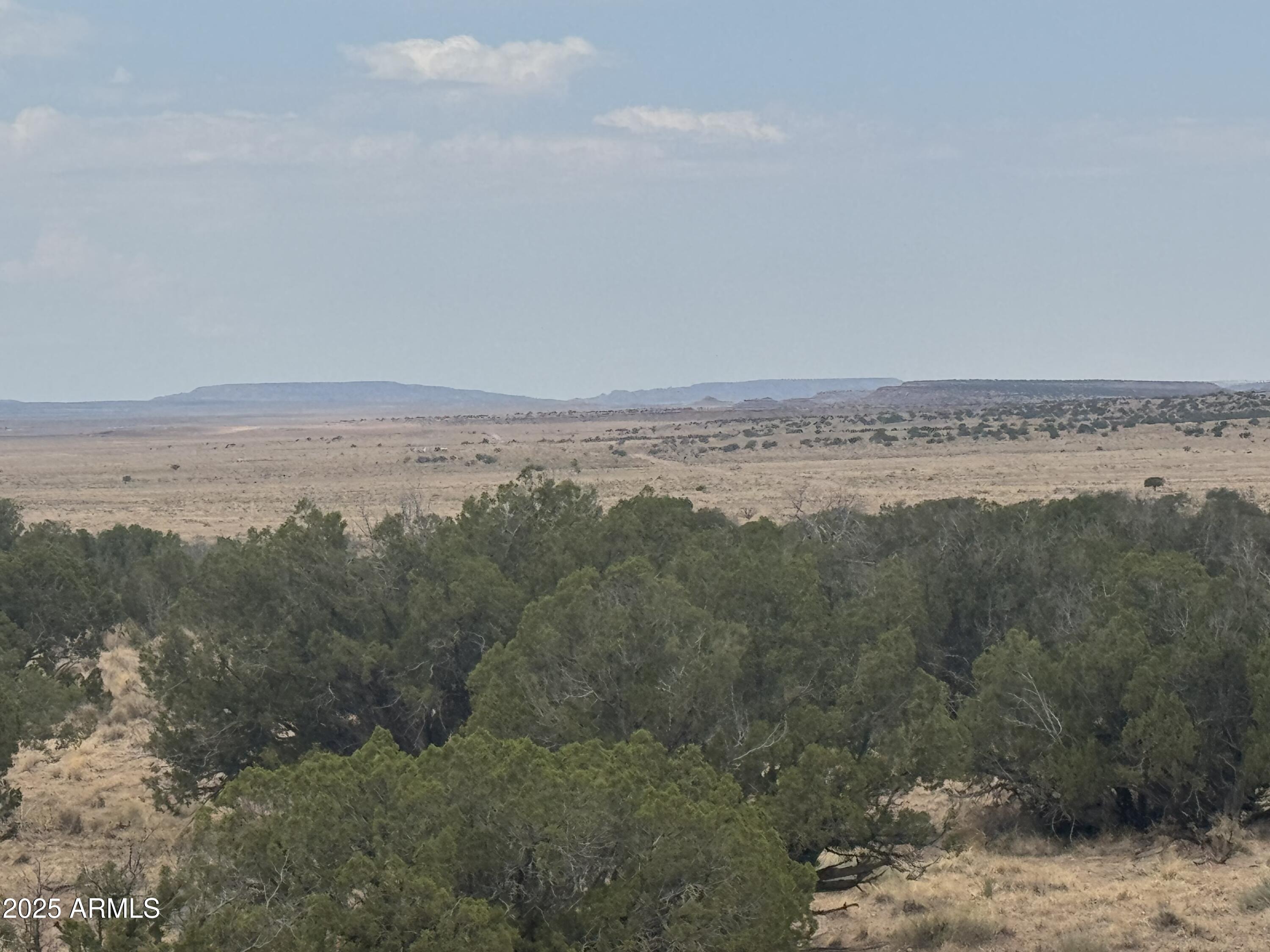 Lot 99 Carrizo Ranch, Unit 99 St. Johns, AZ 85936 - Photo 11 of 18 IMG_9121
