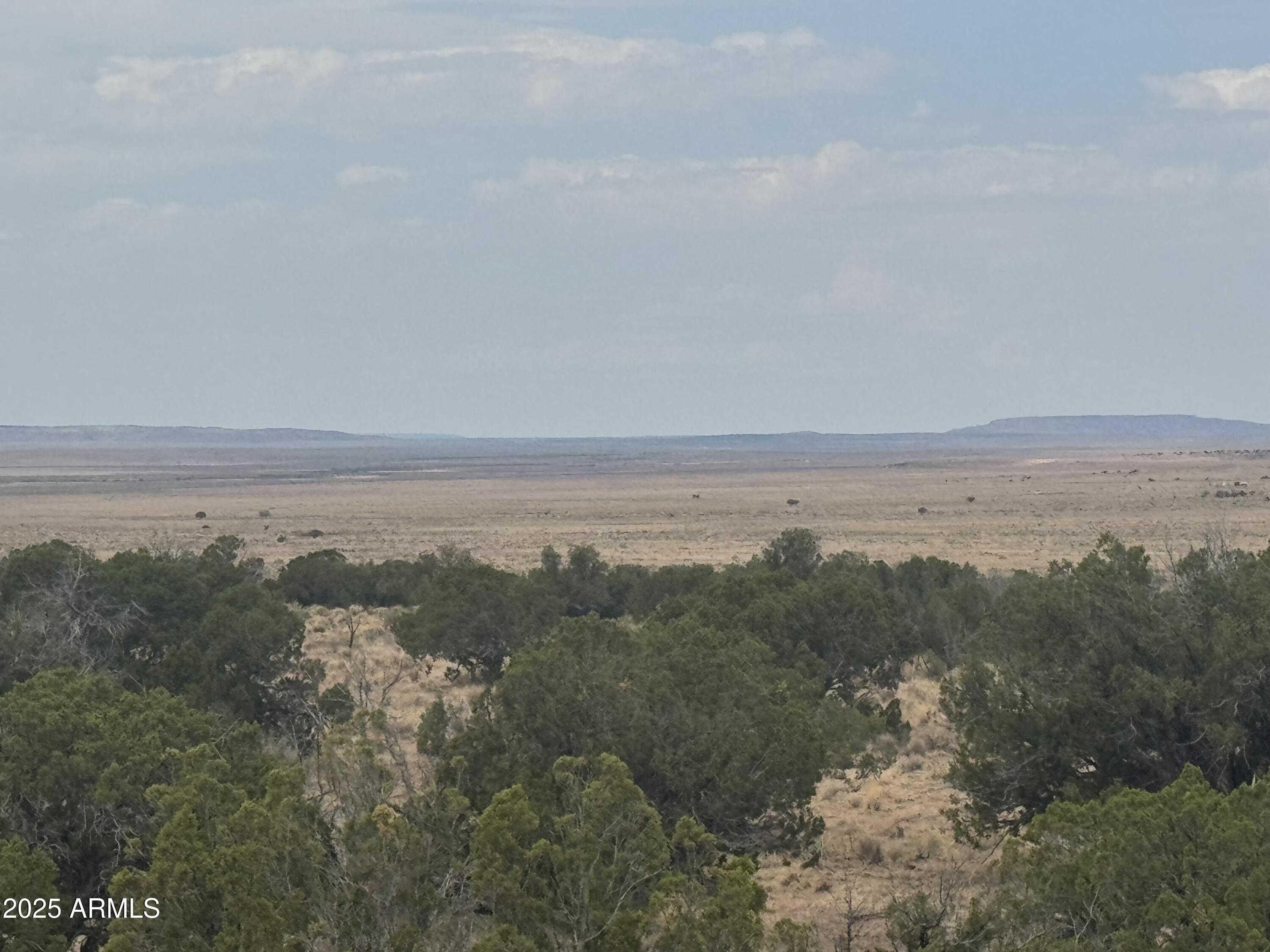 Lot 99 Carrizo Ranch, Unit 99 St. Johns, AZ 85936 - Photo 12 of 18 IMG_9122