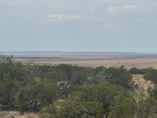 a view of a field with lots of trees