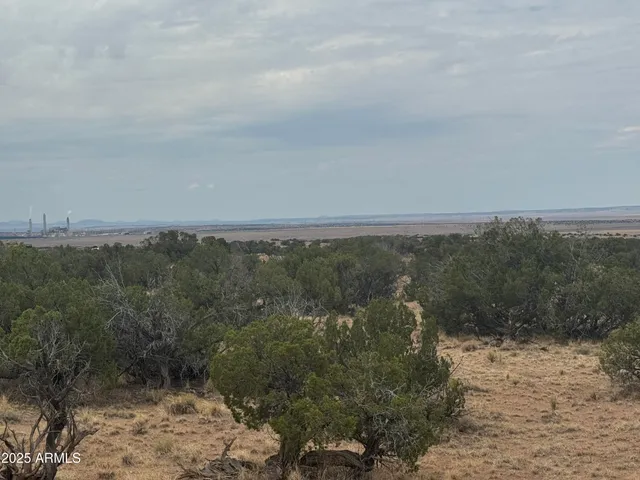 a view of a yard with a mountain