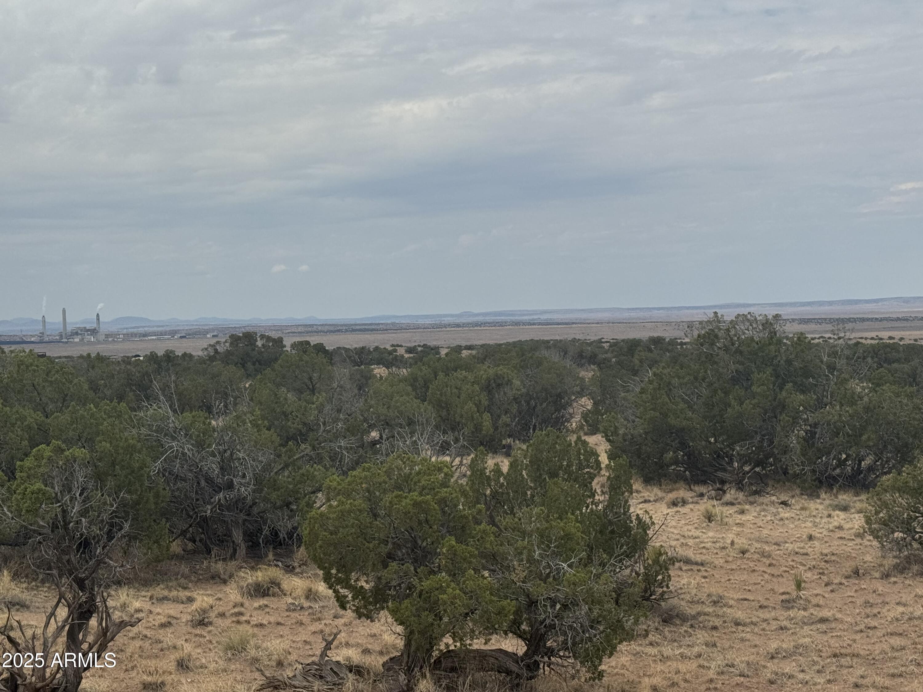 Lot 99 Carrizo Ranch, Unit 99 St. Johns, AZ 85936 - Photo 14 of 18 IMG_9124