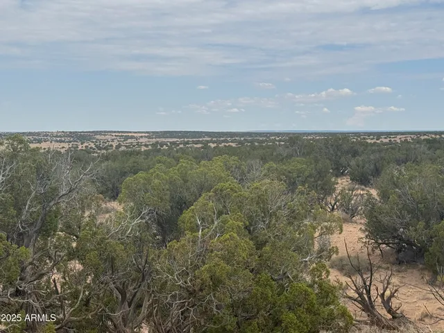 an aerial view of forest