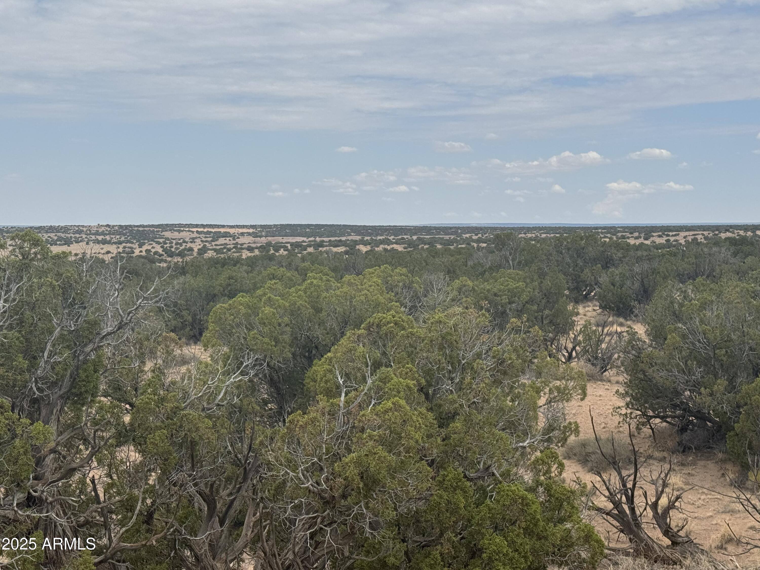 Lot 99 Carrizo Ranch, Unit 99 St. Johns, AZ 85936 - Photo 3 of 18 IMG_9112