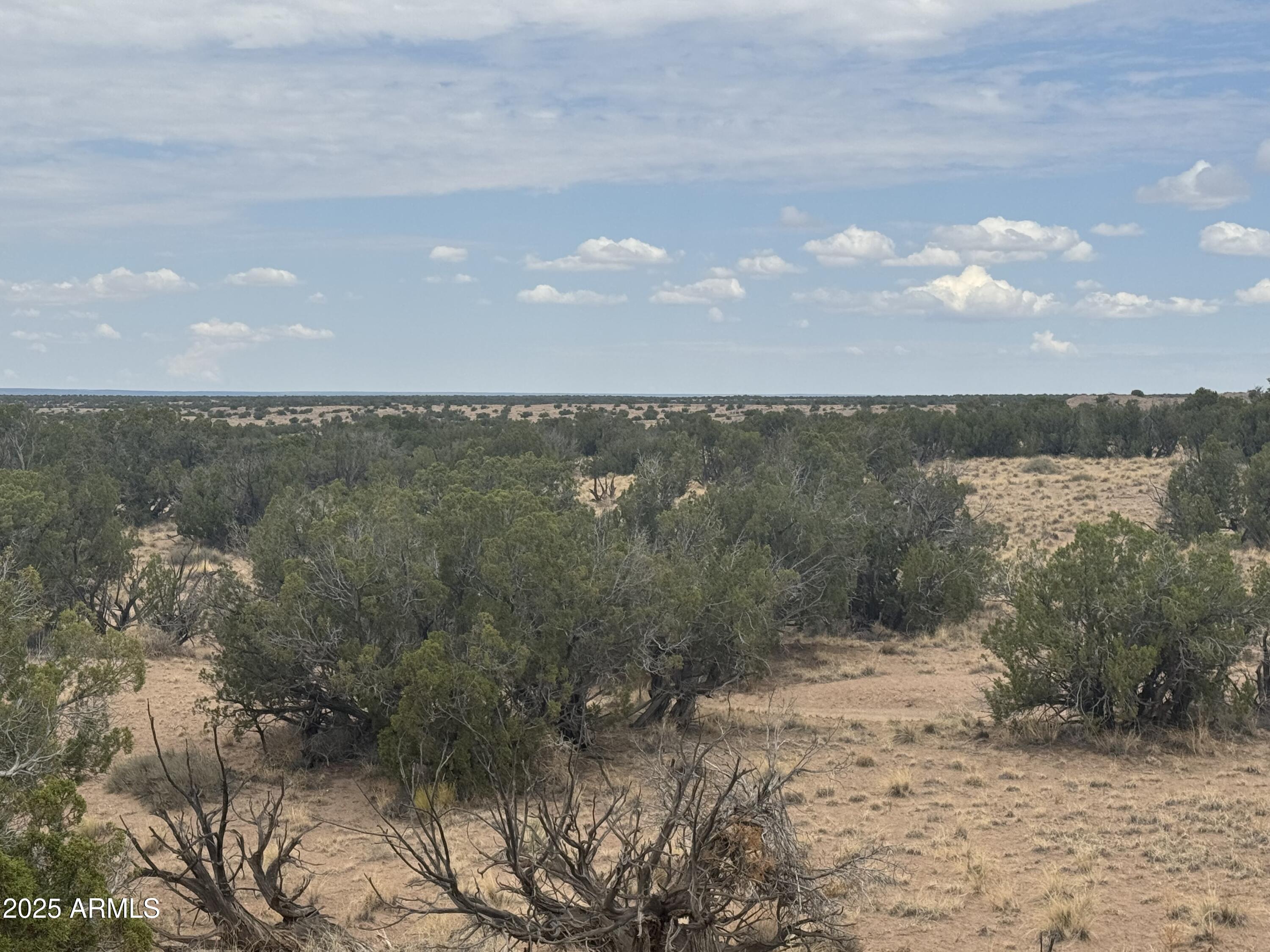 Lot 99 Carrizo Ranch, Unit 99 St. Johns, AZ 85936 - Photo 4 of 18 IMG_9113