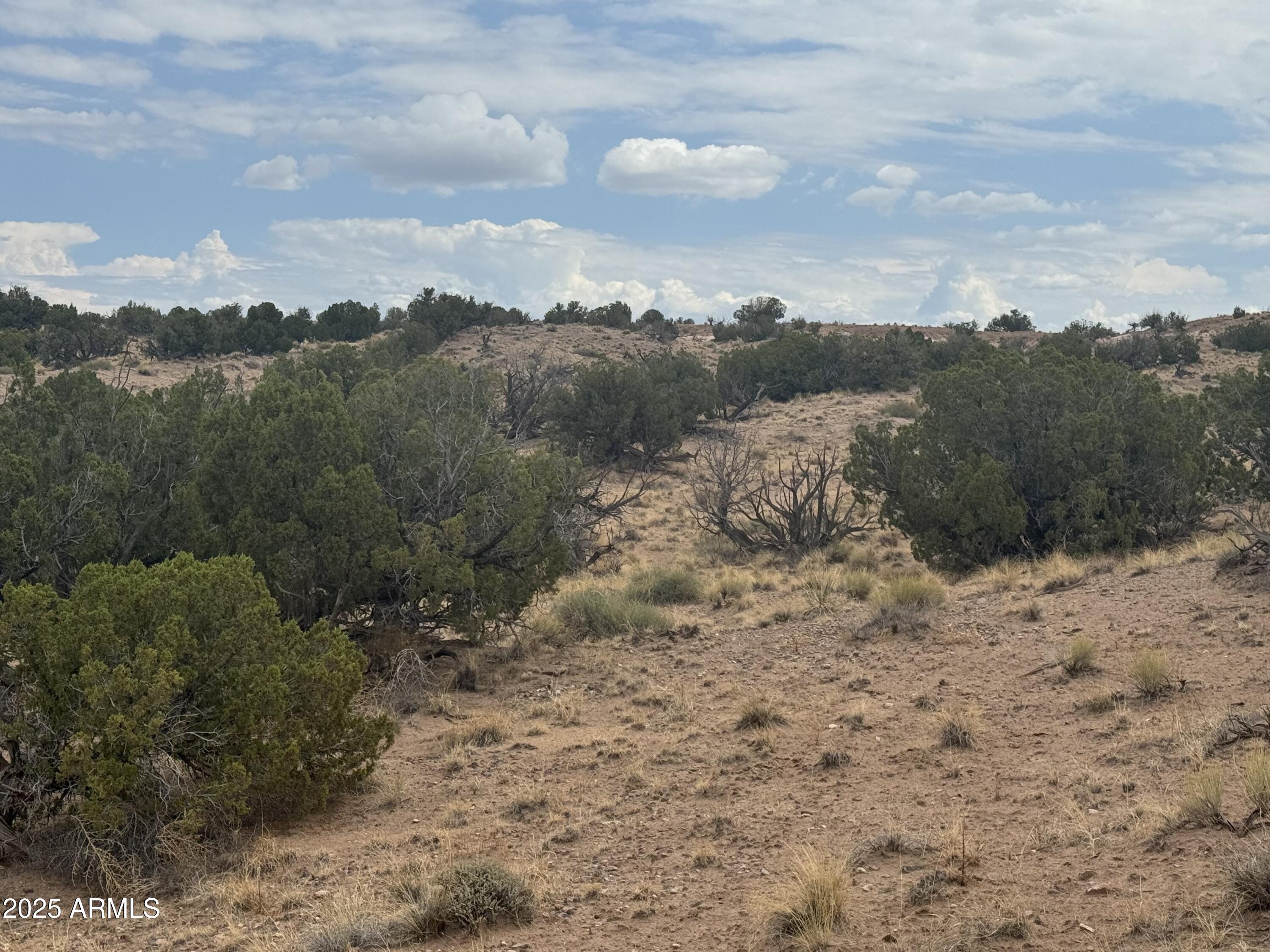 Lot 99 Carrizo Ranch, Unit 99 St. Johns, AZ 85936 - Photo 5 of 18 IMG_9115