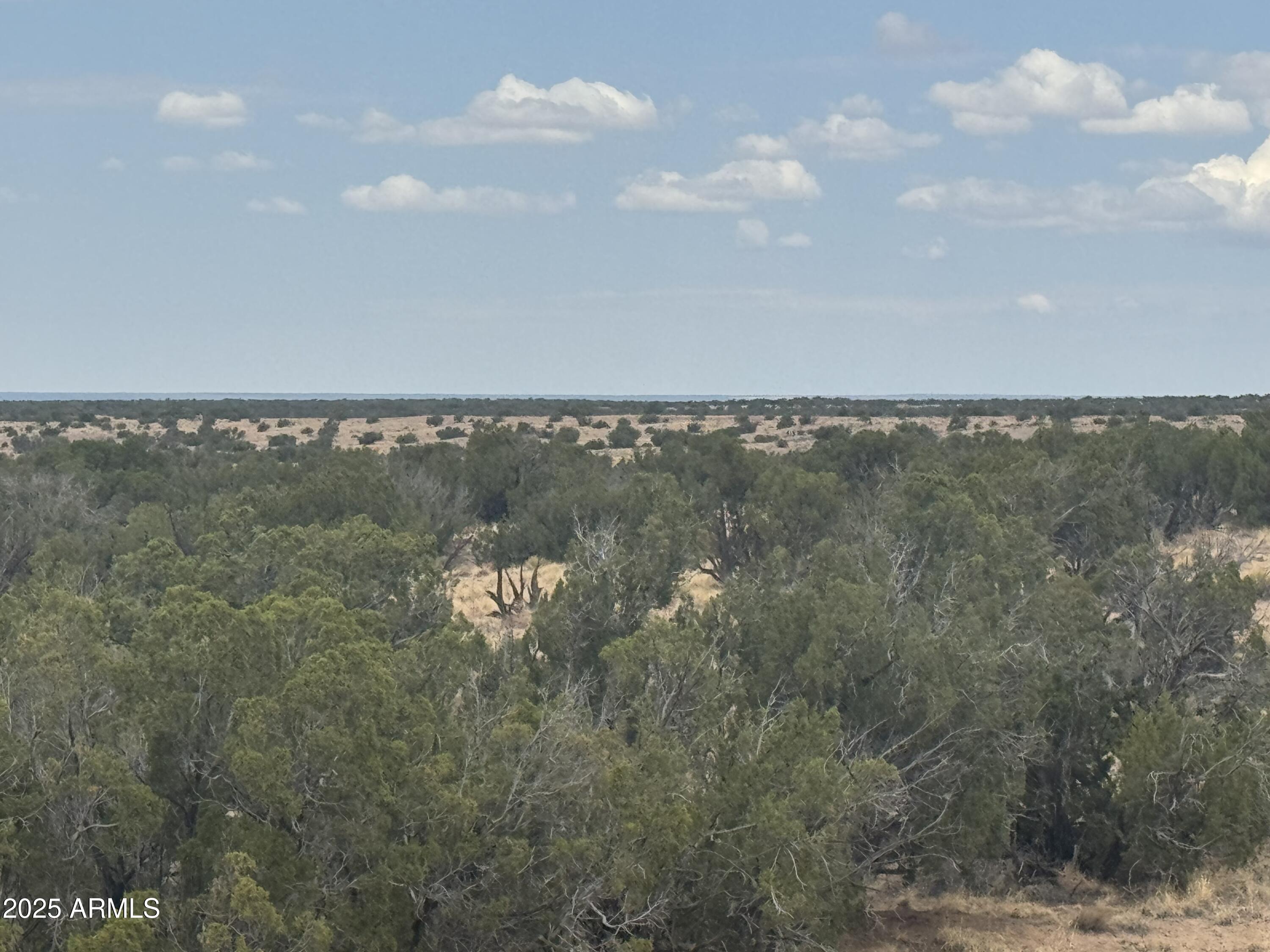 Lot 99 Carrizo Ranch, Unit 99 St. Johns, AZ 85936 - Photo 6 of 18 IMG_9116