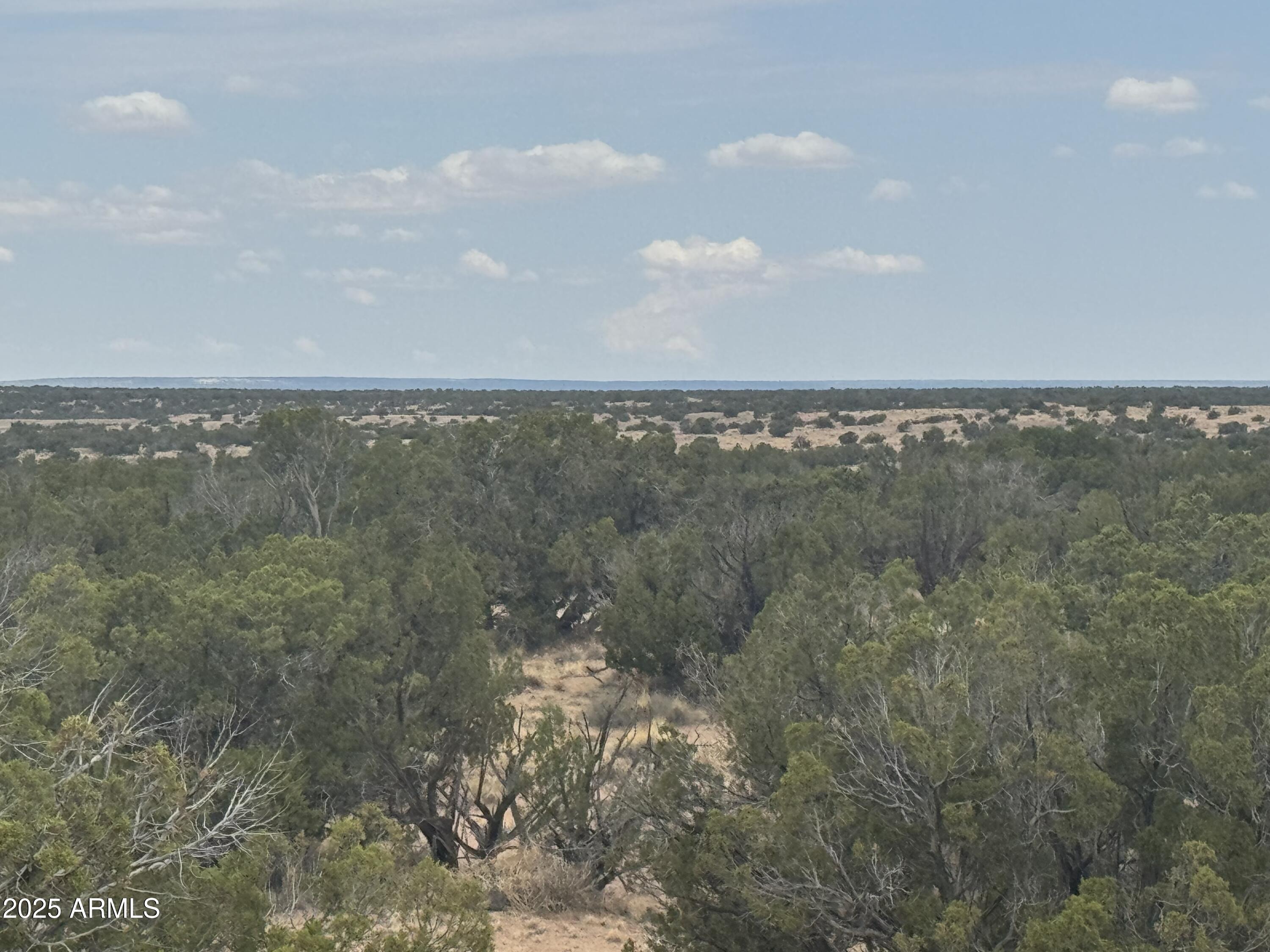 Lot 99 Carrizo Ranch, Unit 99 St. Johns, AZ 85936 - Photo 7 of 18 IMG_9117