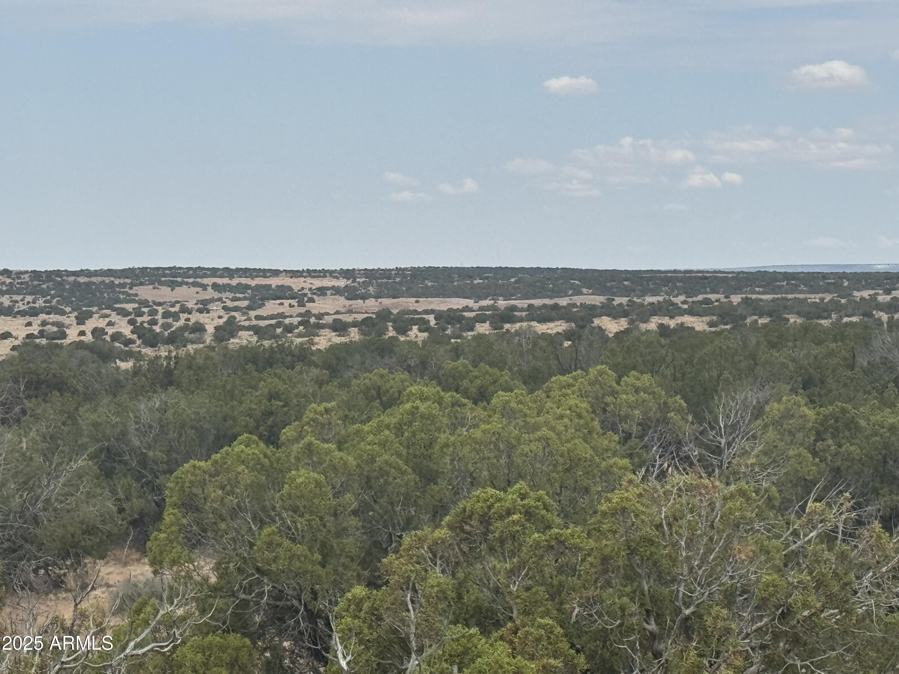 Lot 99 Carrizo Ranch, Unit 99 St. Johns, AZ 85936 - Photo 8 of 18 IMG_9118
