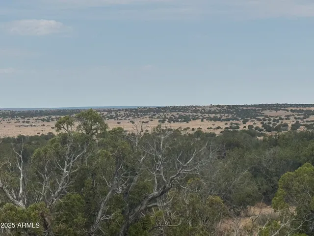 a view of an ocean beach