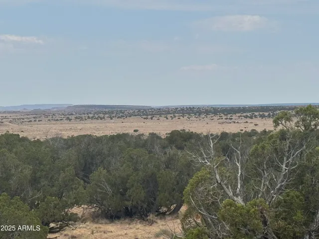 a view of an ocean beach