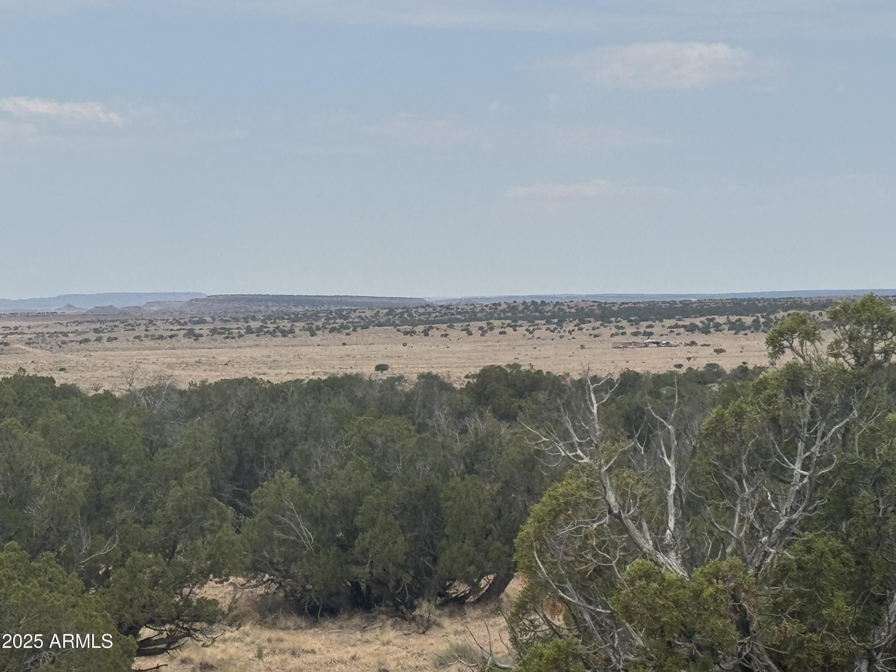 Lot 99 Carrizo Ranch, Unit 99 St. Johns, AZ 85936 - Photo 10 of 18 IMG_9120