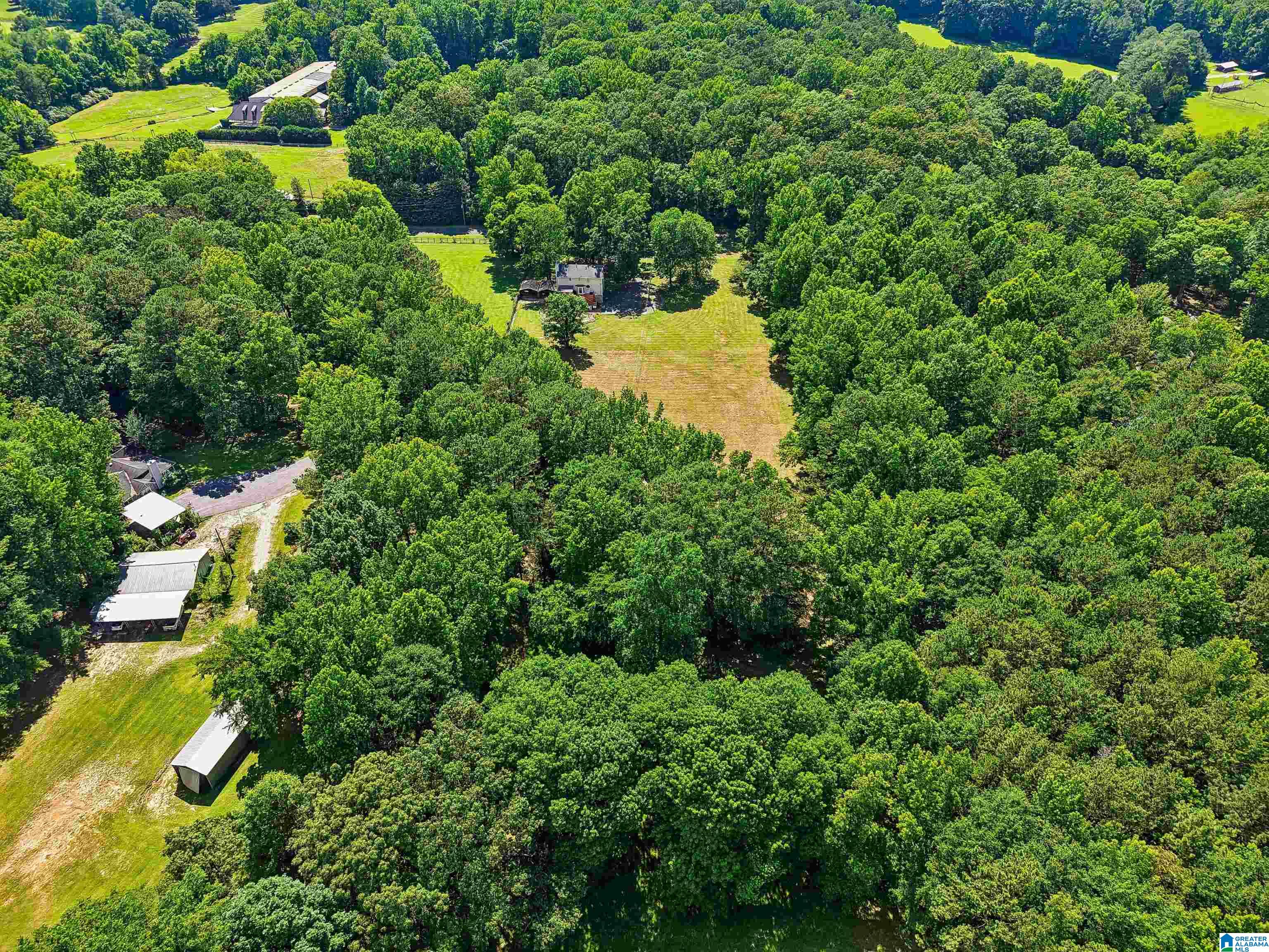 257 Chimney Rock Road Southwest Leeds, AL 35094 - Photo 17 of 58