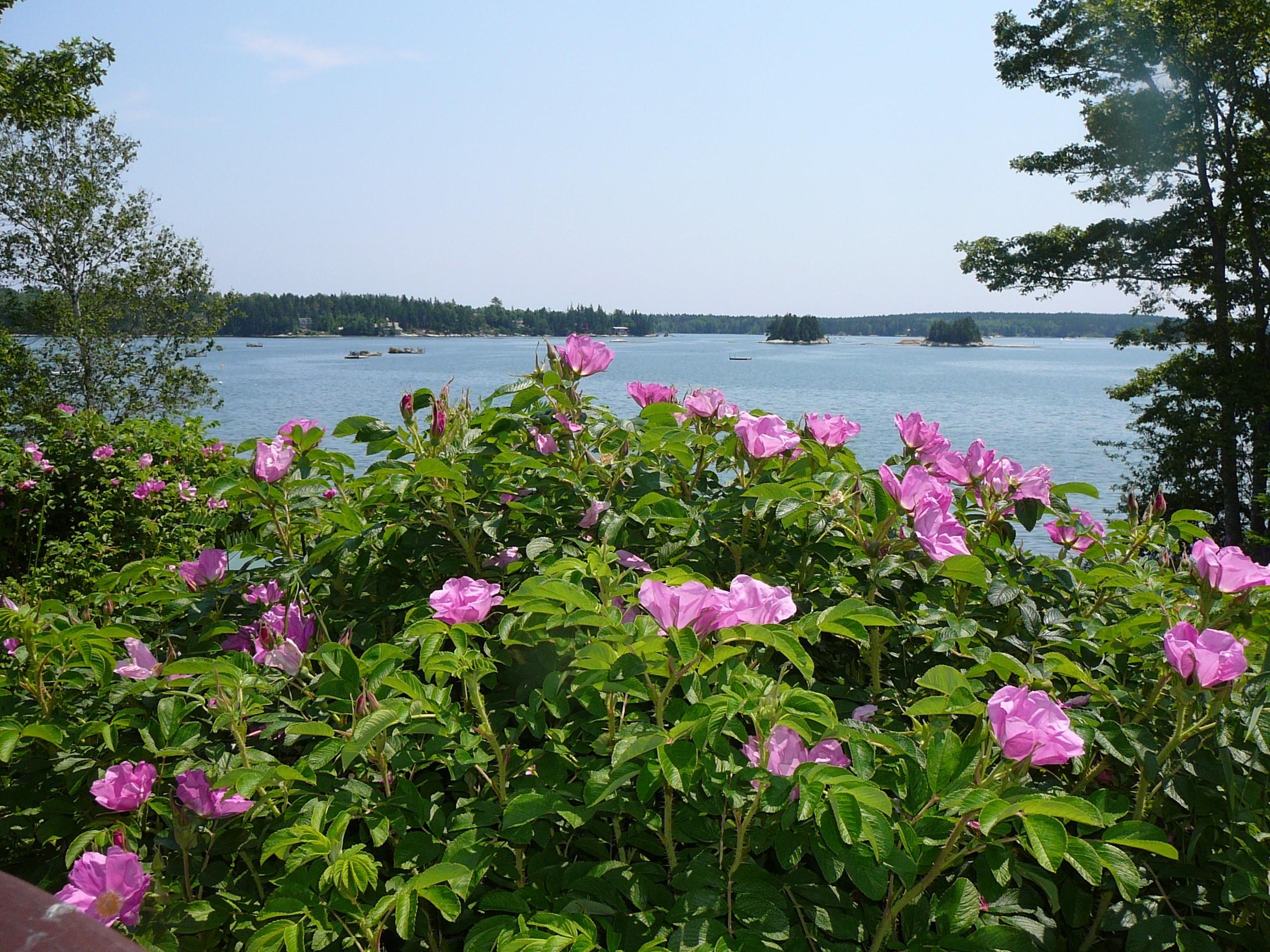 200 Martin Point Road Friendship, ME 04547 - Photo 4 of 52 13a