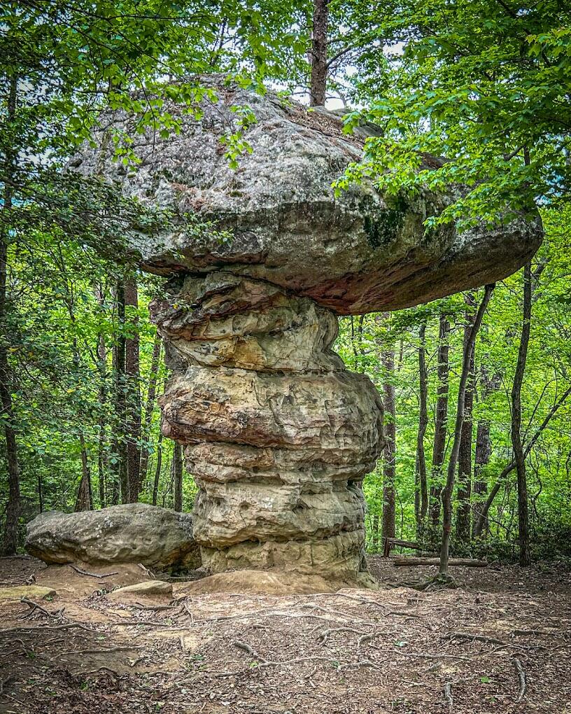2224 Fairmount Road West Signal Mountain, TN 37377 - Photo 54 of 65 Mushroom Rock Hiking -Pet Friendly
