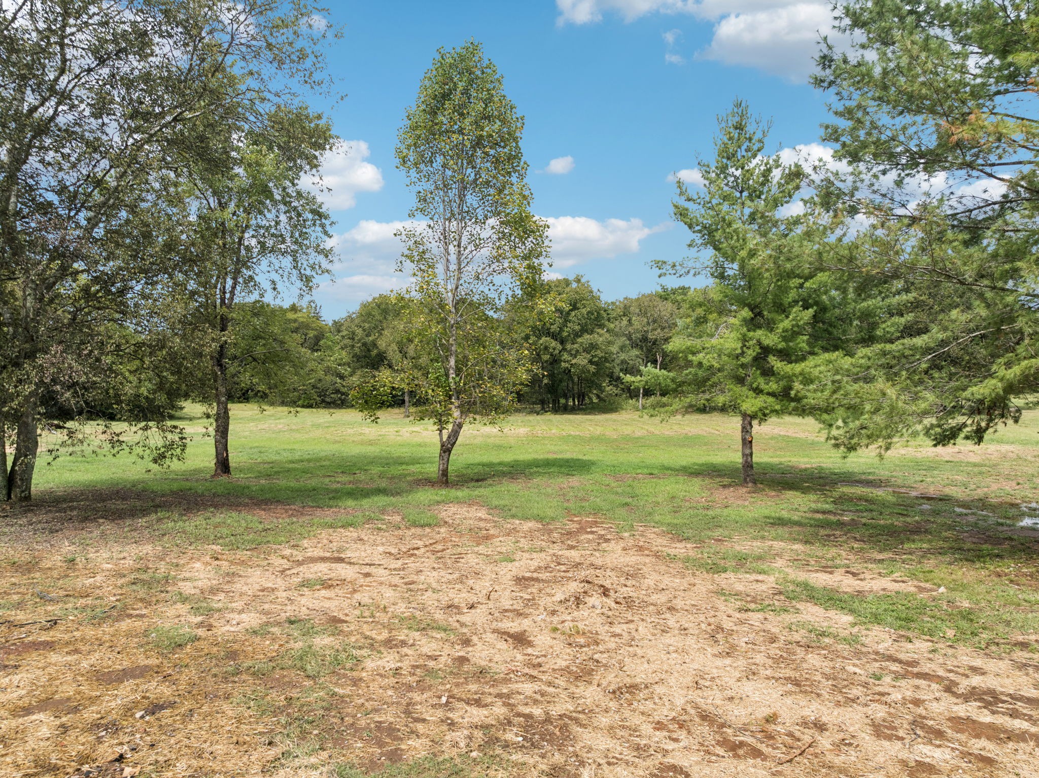 8297 12 Corners Road Lascassas, TN 37085 - Photo 57 of 63