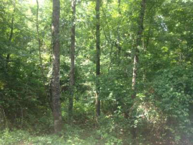 Na Poplar Springs Road Florence, MS 39073 - Photo 1 of 1 Main View