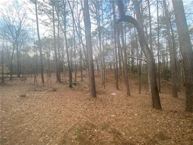 a view of outdoor space with trees