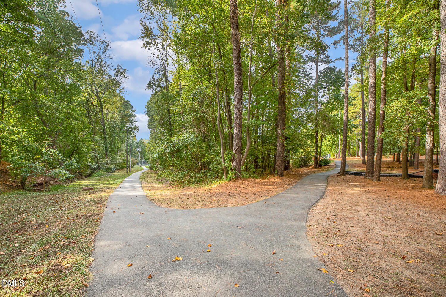 5233 Fairmead Circle Raleigh, NC 27613 - Photo 64 of 68 a view of a yard with plants and trees