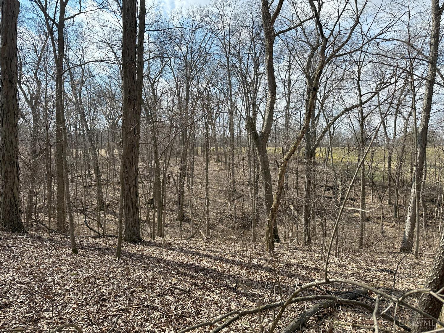 0 Wilson Road Winchester, OH 45697 - Photo 18 of 69