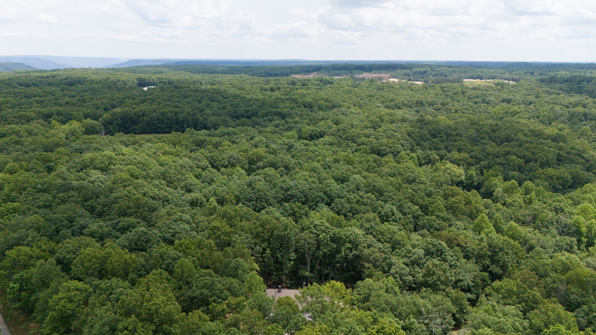 35 Lake Louisa Loop Monteagle, TN 37356 - Photo 8 of 44
