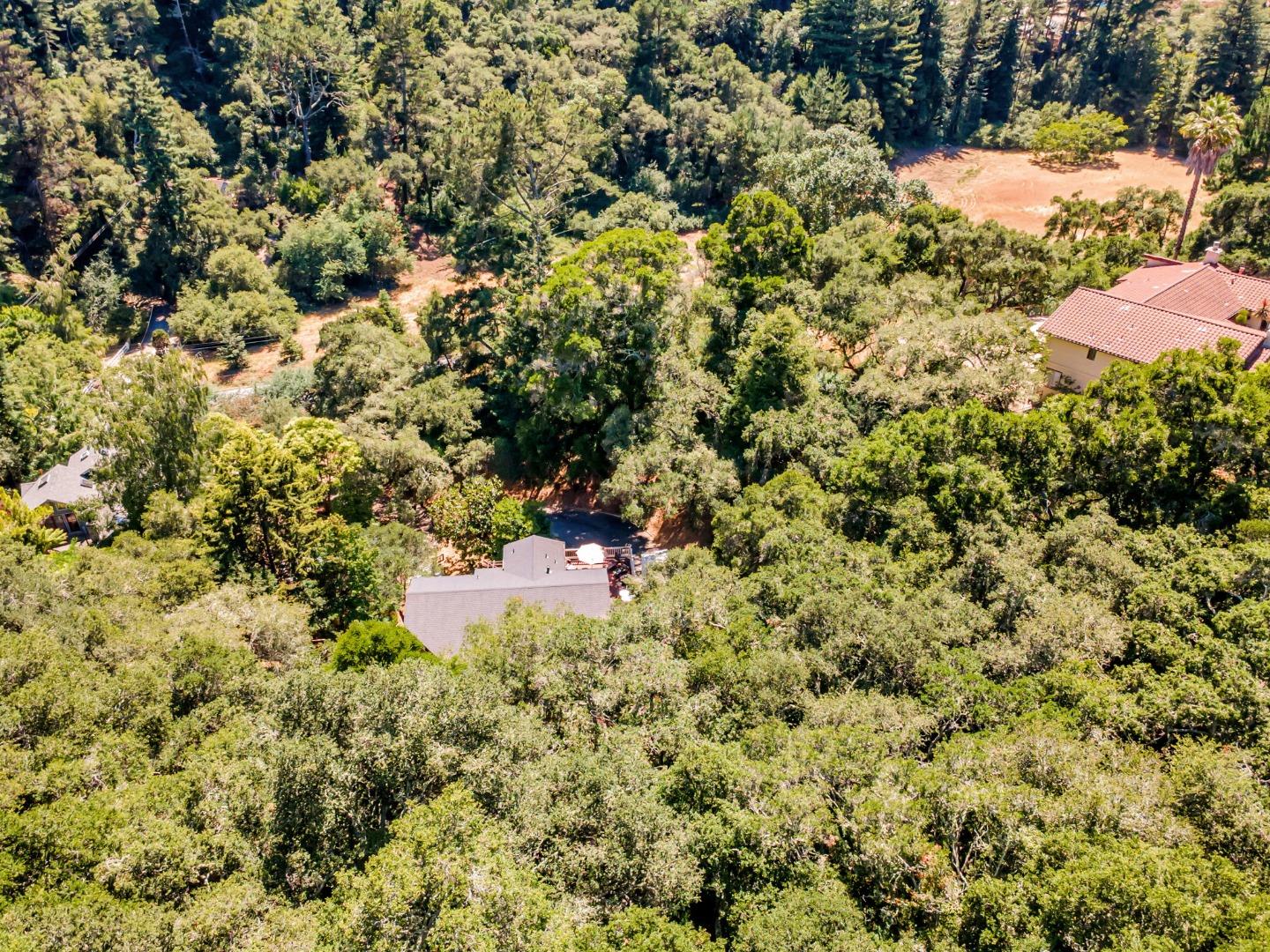4858 Freedom Boulevard Aptos, CA 95003 - Photo 44 of 65 a view of a bunch of trees and bushes
