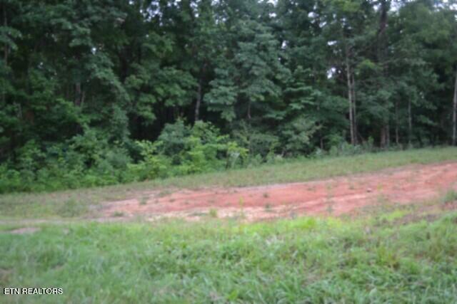 2390 Pea Ridge Fire Tower Road Celina, TN 38551 - Photo 7 of 35 DSC_0007