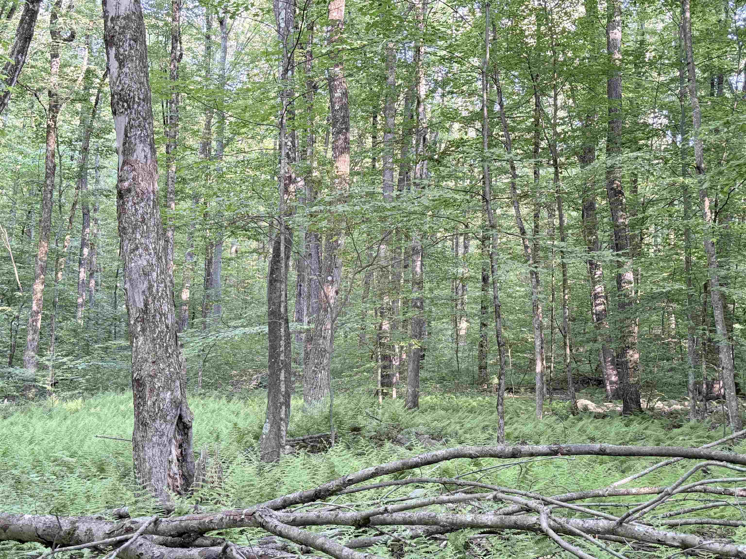 498 Town Line Road Bennington, VT 05201 - Photo 50 of 54