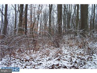 Lot 95 Octorara Trail Gap, PA 17527 - Photo 1 of 5 Gallery Image 1