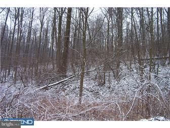 Lot 95 Octorara Trail Gap, PA 17527 - Photo 2 of 5 Gallery Image 2