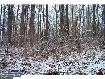 Lot 95 Octorara Trail Gap, PA 17527 - Photo 3 of 5 Gallery Image 3