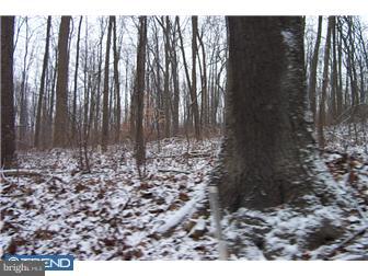 Lot 95 Octorara Trail Gap, PA 17527 - Photo 4 of 5 Gallery Image 4