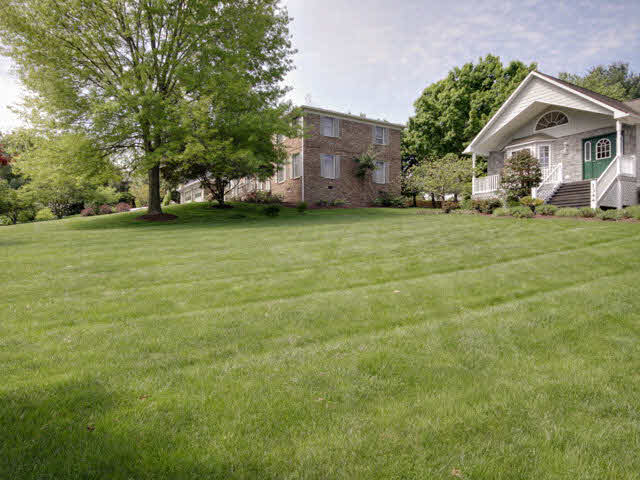 1344 Massanetta Springs Road Harrisonburg, VA 22801 - Photo 23 of 28 Gallery Image 23