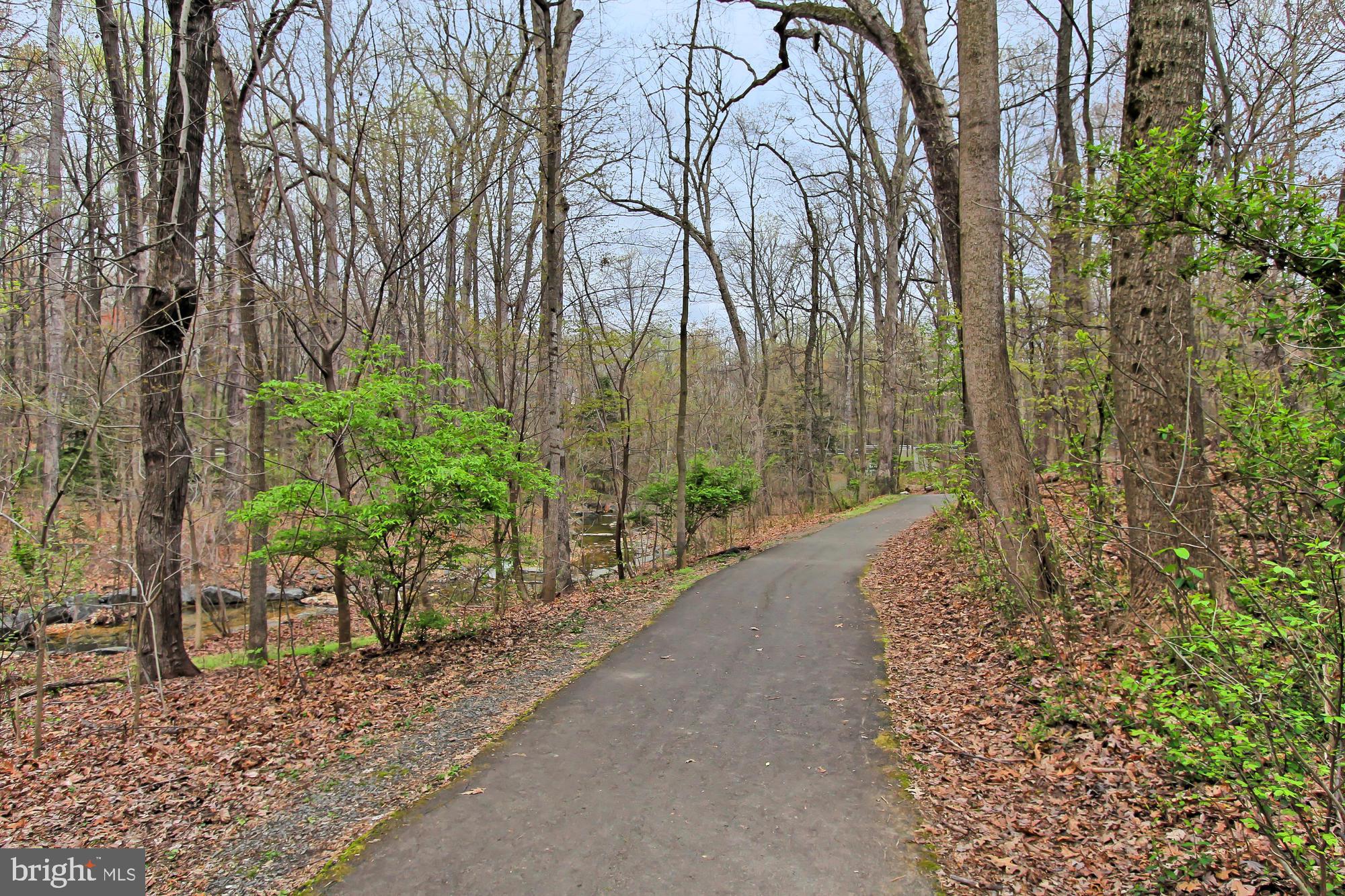 11646 Ivystone Court Reston, VA 20191 - Photo 28 of 28 Tree-Lined Paths To Enjoy Nature