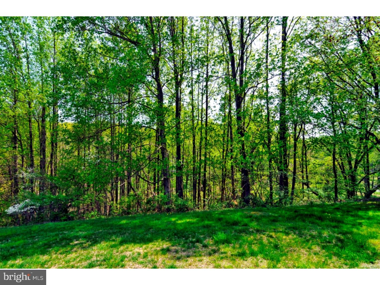 231 Jefferis Road Downingtown, PA 19335 - Photo 3 of 25 Back Yard